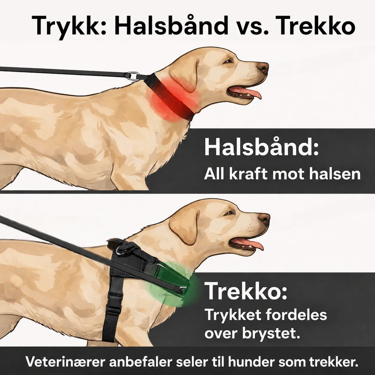 Trekko No-Pull Hundesele