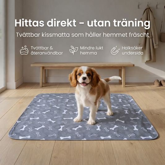 NosaRätt™ – Kissmattan hundar hittar direkt