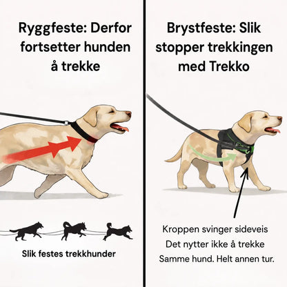 Trekko No-Pull Hundesele