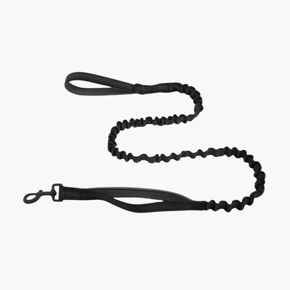 Trekko Bungee-hundebånd